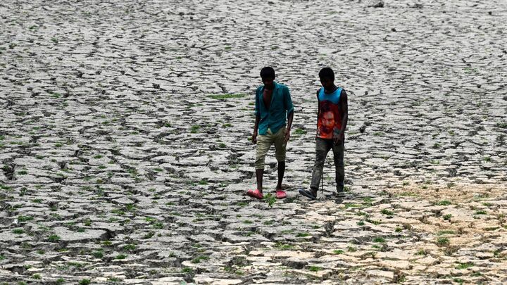 خشکسالی در هند