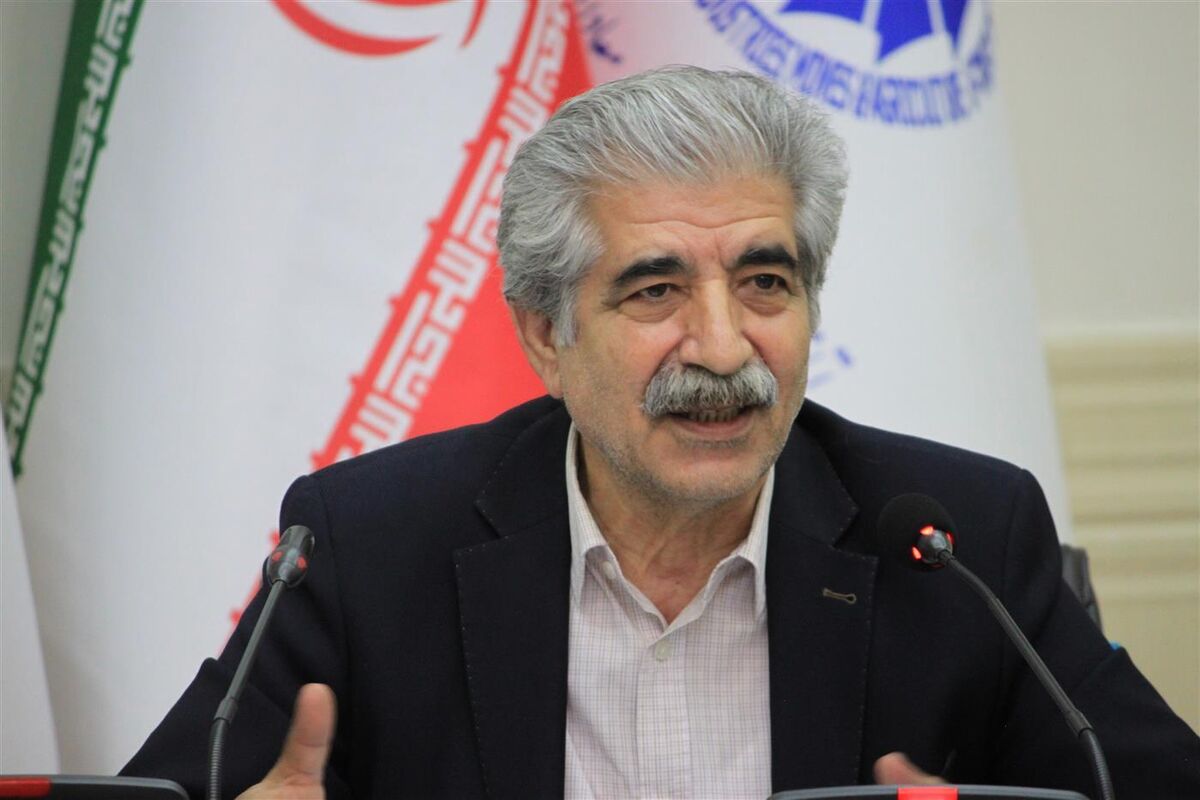 ضرورت تجدید نظر در بحث افزایش قیمت حامل های انرژی