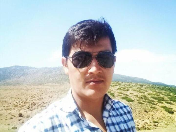 عدم حمایت دولت از زراعت چوب | تسهیلات بسیار ناچیز و محدود است