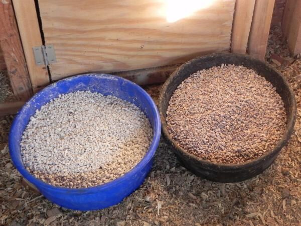 گلستان؛ ذخیره گاه «صدف کوهی» خاورمیانه| تاراج معادن کربنات کلسیم با خام فروشی