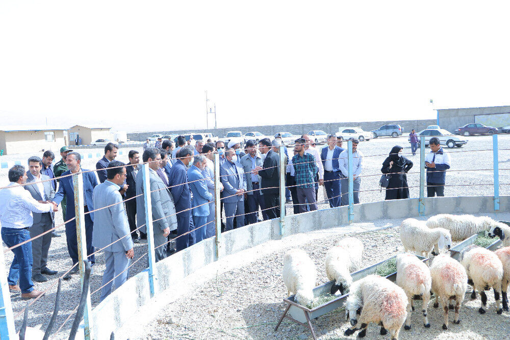 احیای طرح های نیمه فعال و غیر فعال حوزه کشاورزی در استان خراسان جنوبی