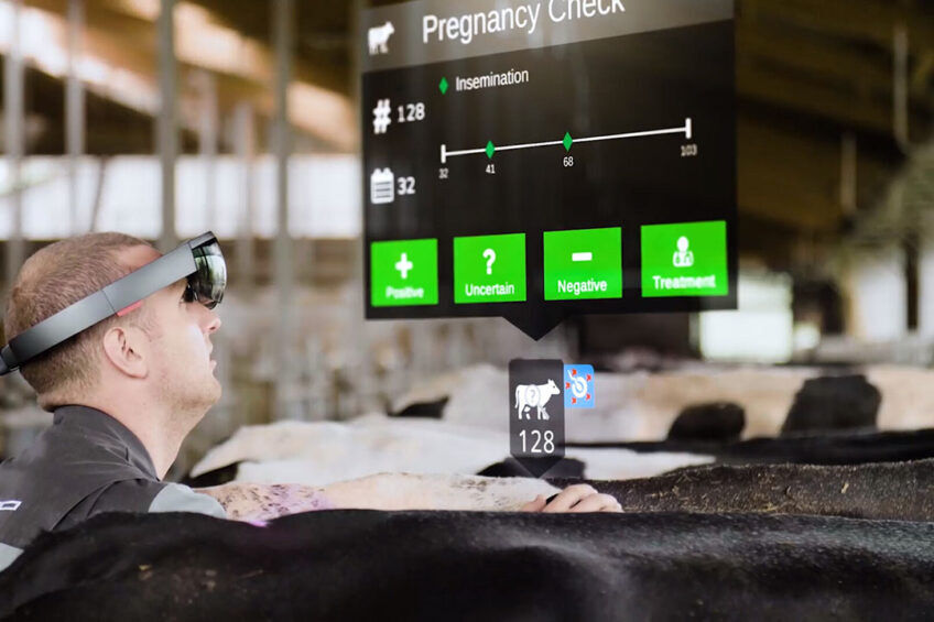 کاهش ۶درصدی نرخ مُرده زایی دام با فناوری نوین مدیریت گله