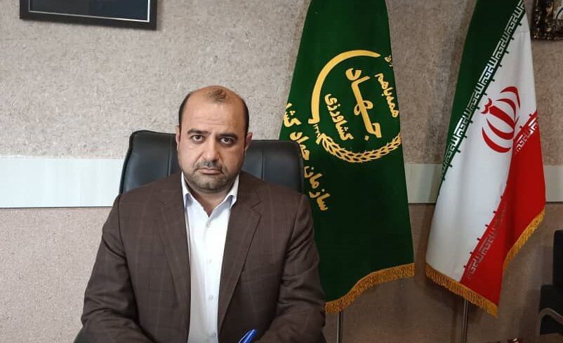 عطر گردشگری در قمصر خراسان پیچید| مشهد رتبه نخست تولید گل محمدی