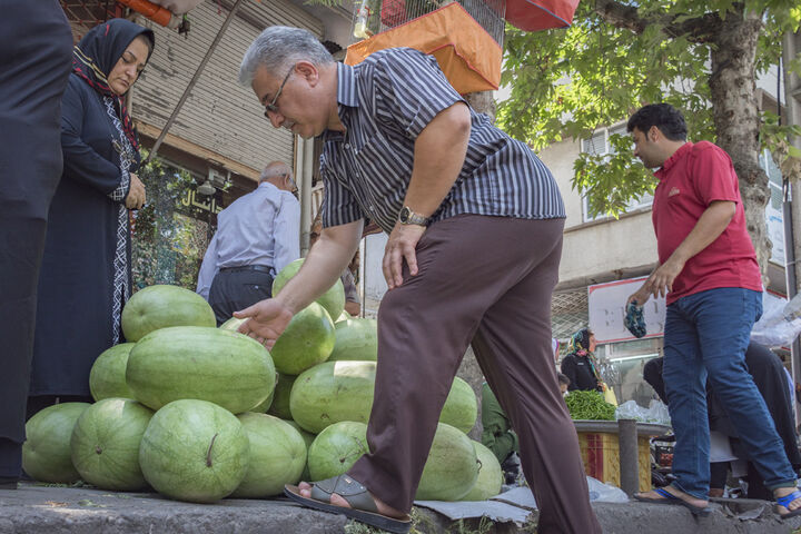 برداشت هندوانه در گیلان