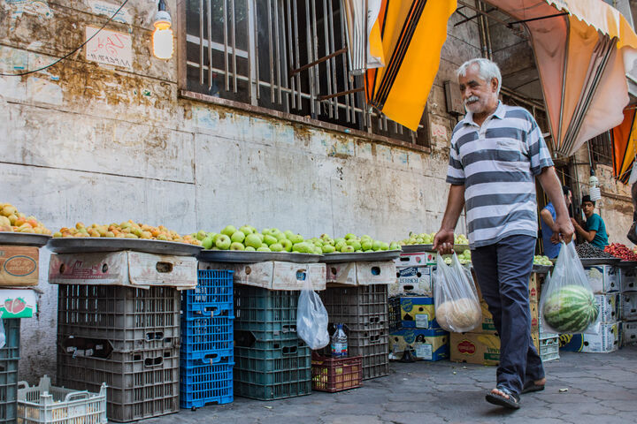 برداشت هندوانه در گیلان