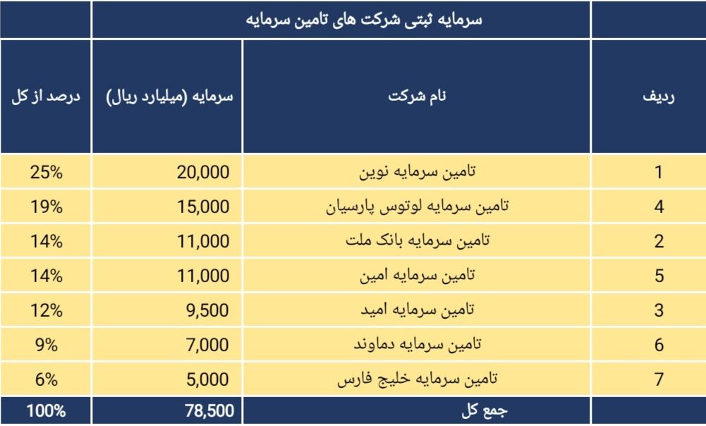 کارنامه شرکت های تأمین سرمایه و افق پیش روی آنها