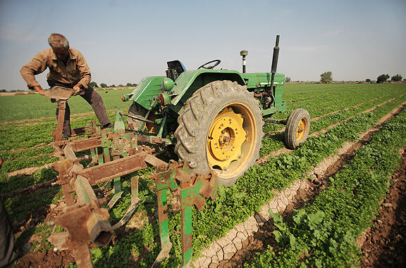 چالش کمبود مکانیزاسیون کشاورزی در استان ایلام