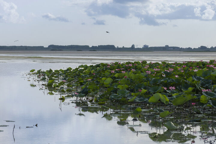 تالاب آبکنار