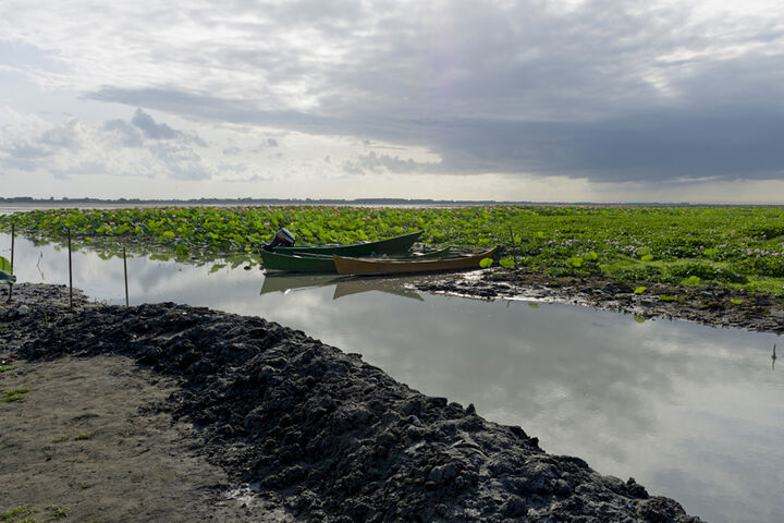 تالاب آبکنار