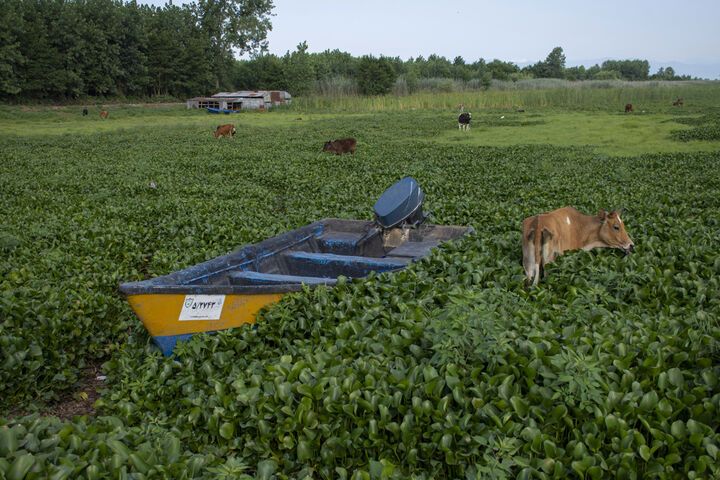 تالاب آبکنار