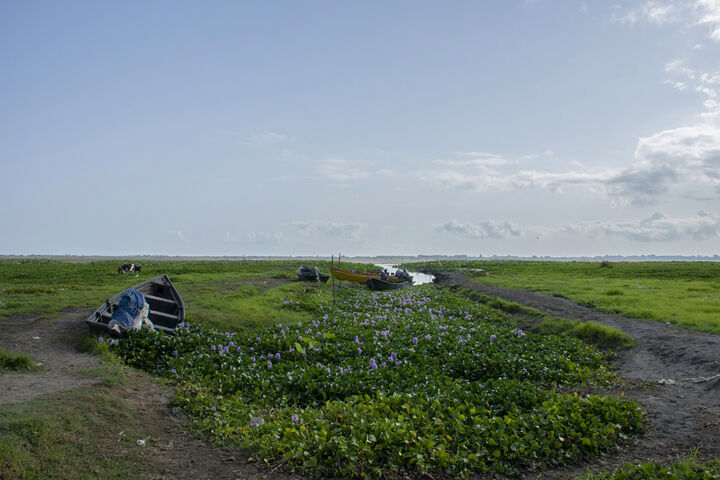 تالاب آبکنار