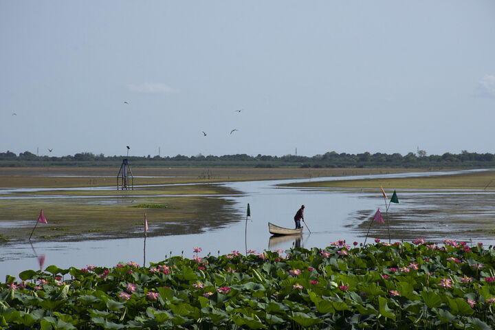 تالاب آبکنار