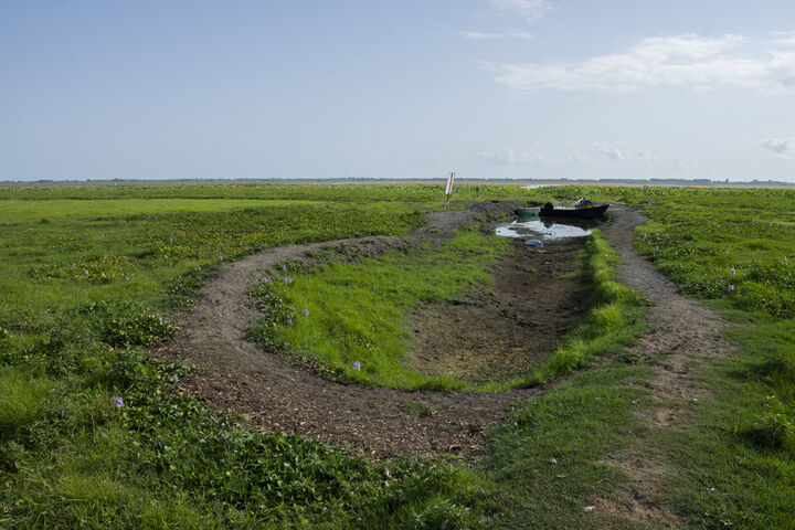 تالاب آبکنار