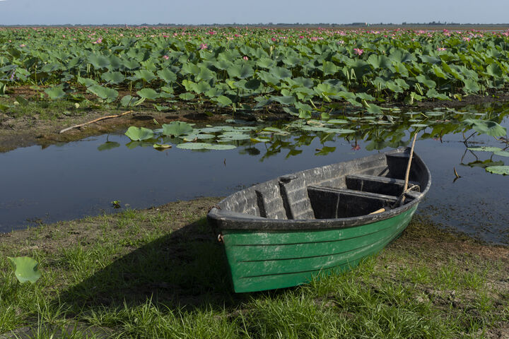 تالاب آبکنار