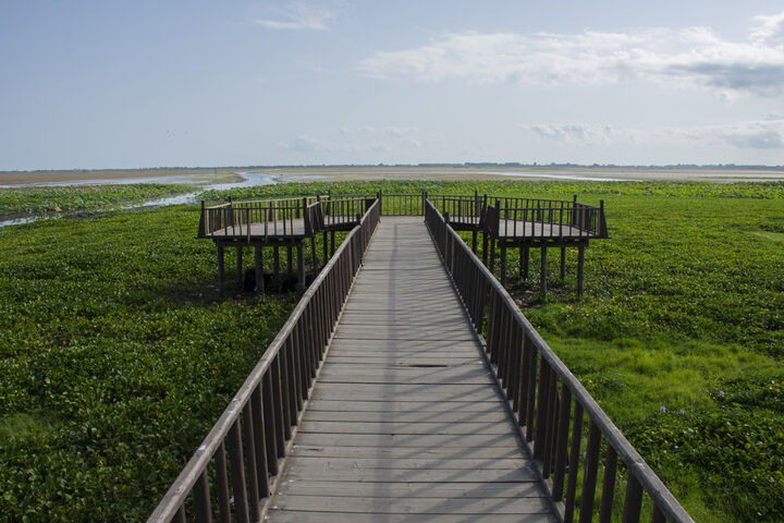 تالاب آبکنار