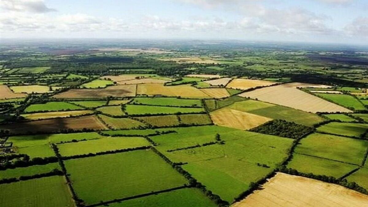 خُرده مالکی آفت زراعت گلستان | زورهای آخر کشاورزی برای تامین معیشت