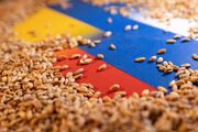 احتمال توقف صادرات گندم و غلات اوکراین