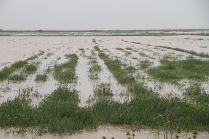 احتمال بروز سیلاب در کرمان/ کشاورزان مراقب باشند