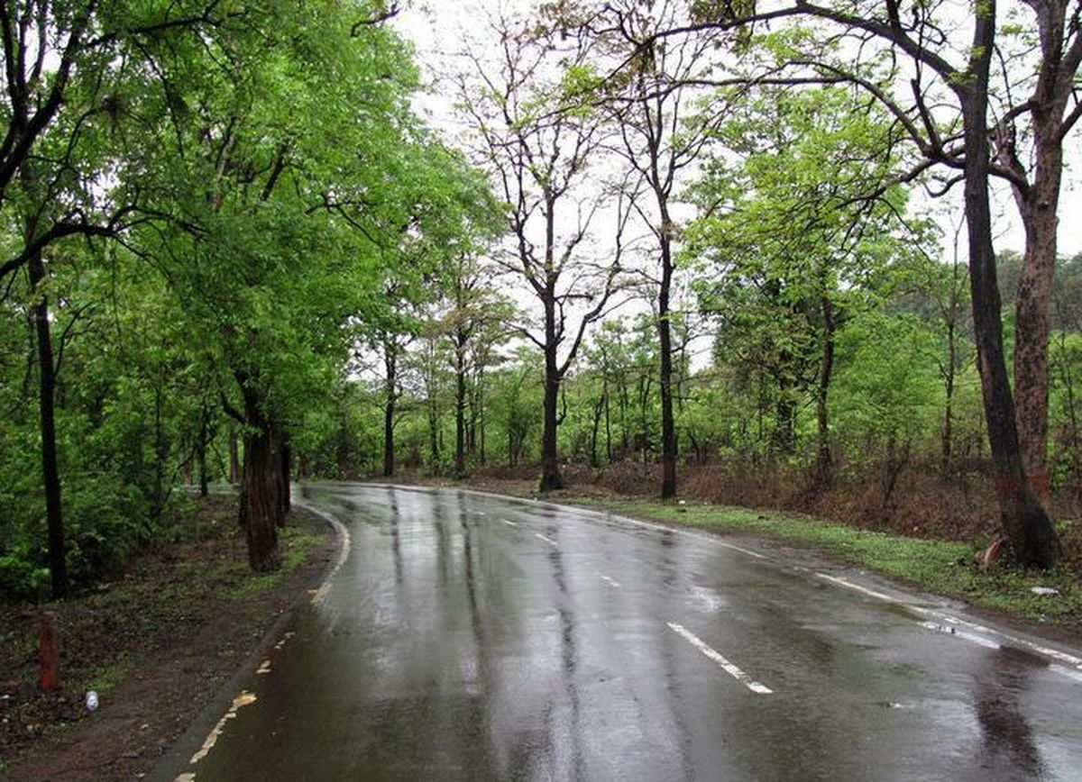 استضعاف بر گردشگری استان سمنان حاکم است | ضرورت مزیتسنجی در سایه برنامهریزی