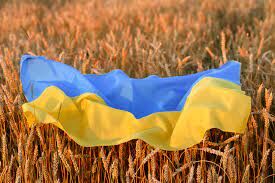 آیا با از سر گیری صادرات گندم از اوکراین بحران غذایی دنیا برطرف می شود؟