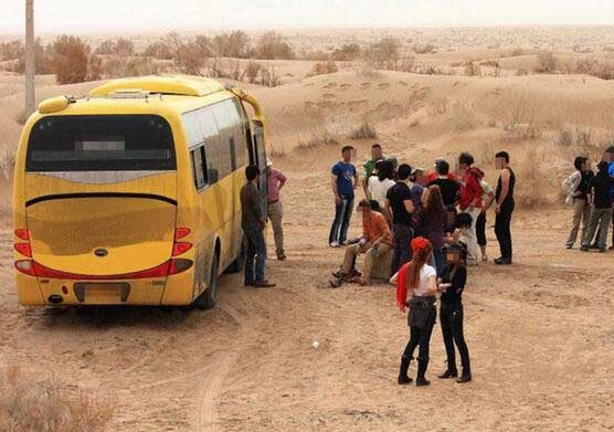 گردشگری ارزان با پایان گران؛ تور کلاهبرداران در فضای مجازی پهن است