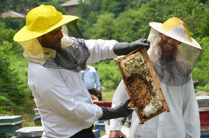 سهم ایران در تولید عسل
