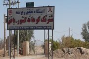 هاب شتر و صنایع وابسته در یزد راه‌اندازی می شود