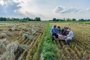 تولید برنج در مازندران را دانش بنیان کنیم