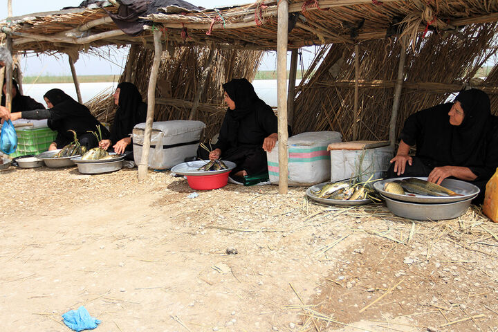 امرار و معاش در تالاب شادگان