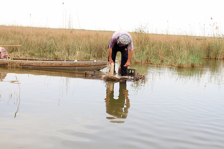 امرار و معاش در تالاب شادگان