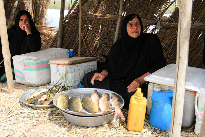 امرار و معاش در تالاب شادگان
