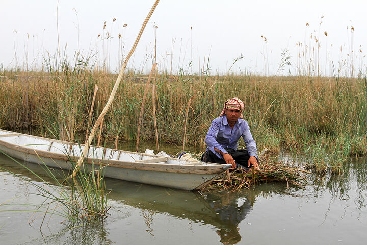امرار و معاش در تالاب شادگان