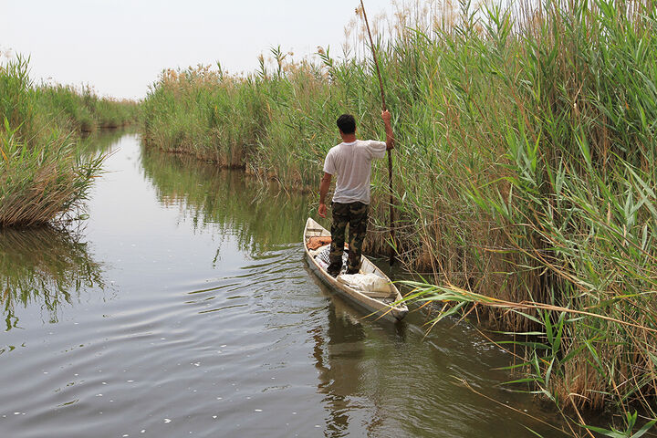 امرار و معاش در تالاب شادگان