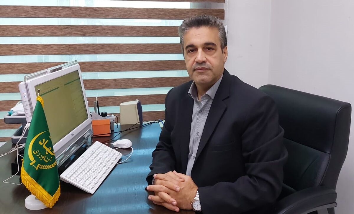 تولید ۱۳۶ هزار تن عسل در سال جاری| بیش از ۱۱.۵ میلیون کلنی زنبور عسل در کشور مستقر است