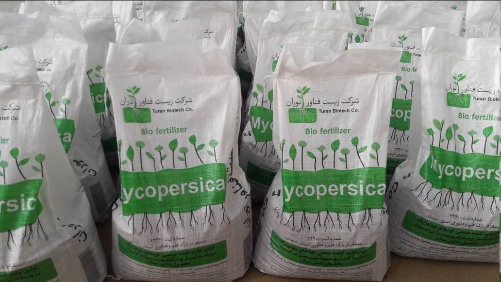 ترکشهای «رکود» جان دانشبینانها را برلب رساند | تولید قارچ مایکوریزا در شاهرود