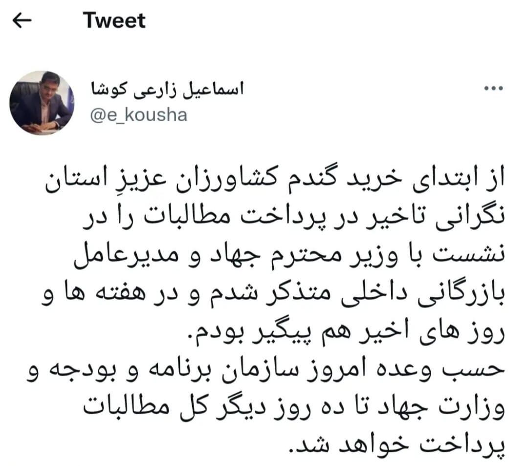 وعده جدید برای پرداخت وجه گندمکاران| پایان هفته دولت مطالبات واریز میشود