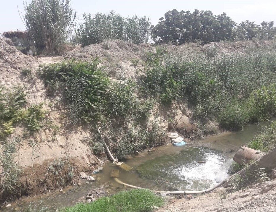 شناسایی  ۹۴مورد آبیاری مزارع گلستان با آب های آلوده