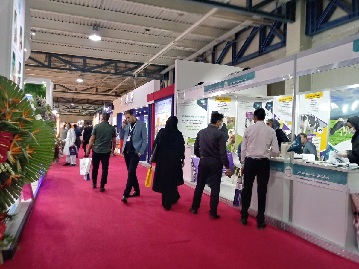نمایشگاه دام و طیور؛ رویدادی خوب که در زمان بد برگزار شد| حضور ملموس مدیران دامپزشکی در نمایشگاه