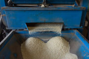 محدودیتی برای خرید برنج‌های دپوشده در مازندران نیست
