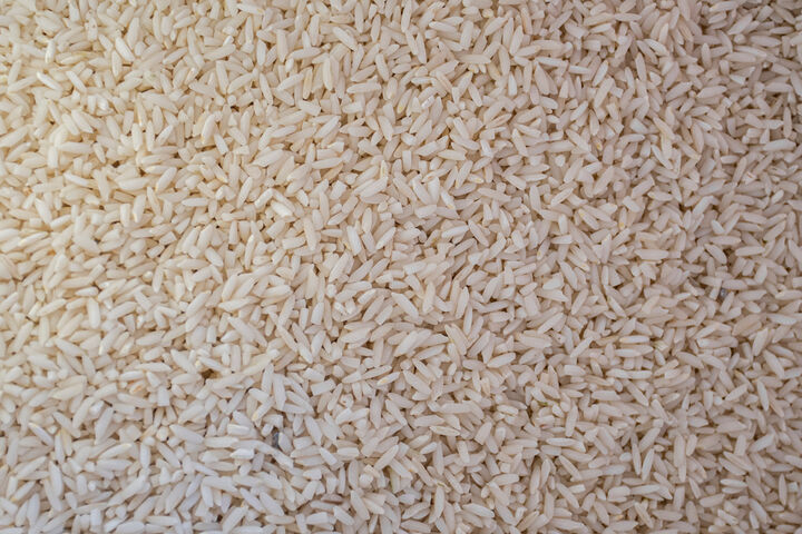 تولید برنج ارگانیک در مازندران ترویج شود