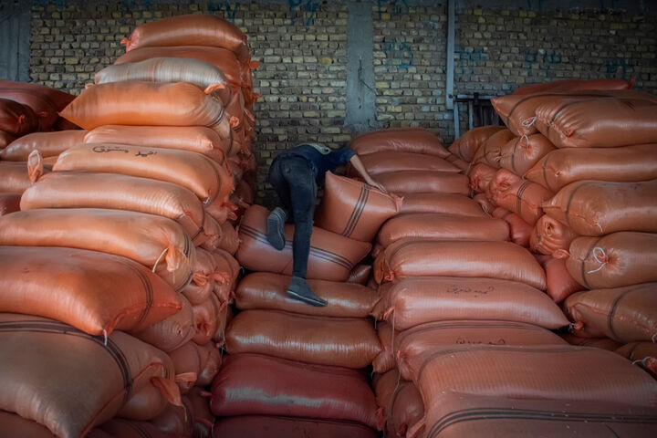 تلخند برنج امسالی به پارسالی| مشتریان چک می دهند و مسئولان وعده تلخند برنج امسالی به پارسالی| مشتریان چک می دهند و مسئولان وعده