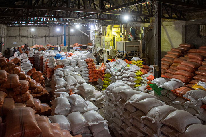 برنج ایرانی هست، تقاضا نیست| اختلاف ۶۰ تا ۸۰ هزار تومانی برنج ایرانی و خارجی