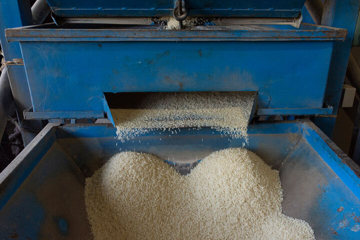 قیمت برنج هندی رکورد زد