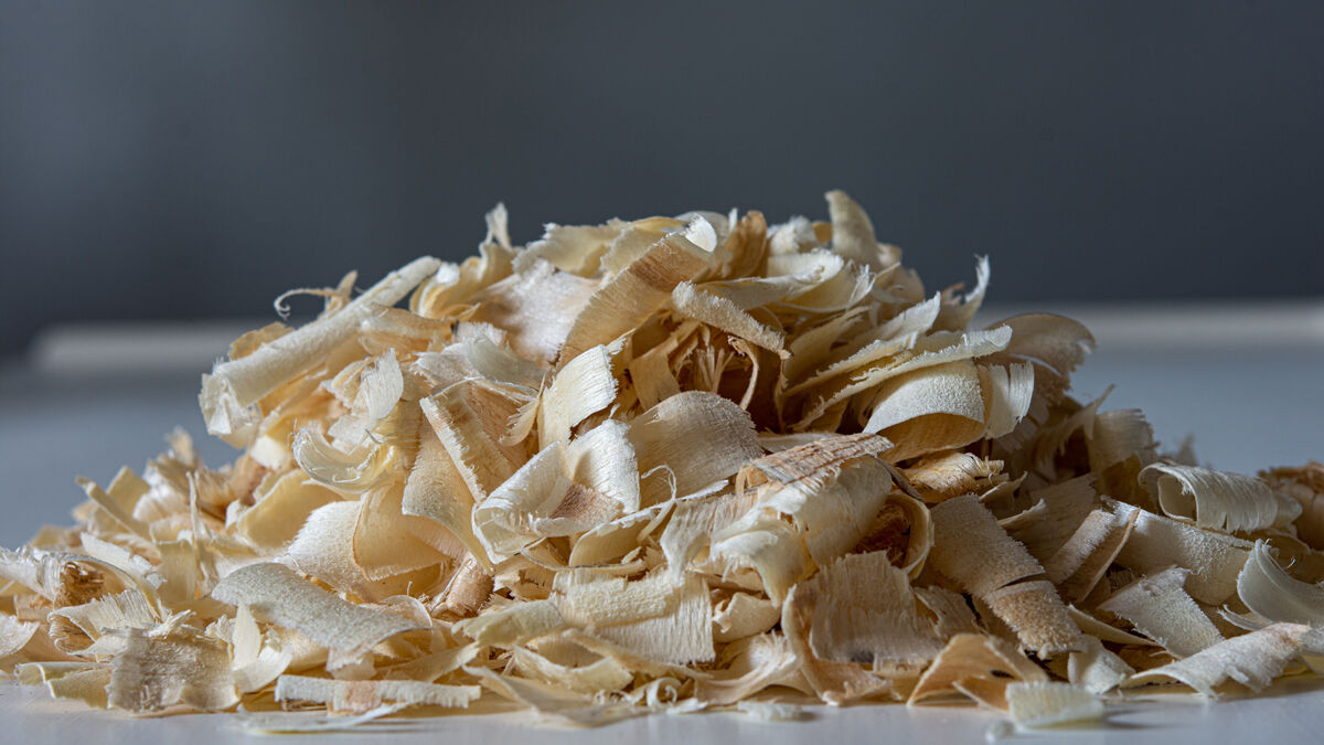 وابستگی ۱۰۰درصدی تولید پوشال مرغداری به واردات چوب؛ چوبهای داخلی قارچی و کشنده است