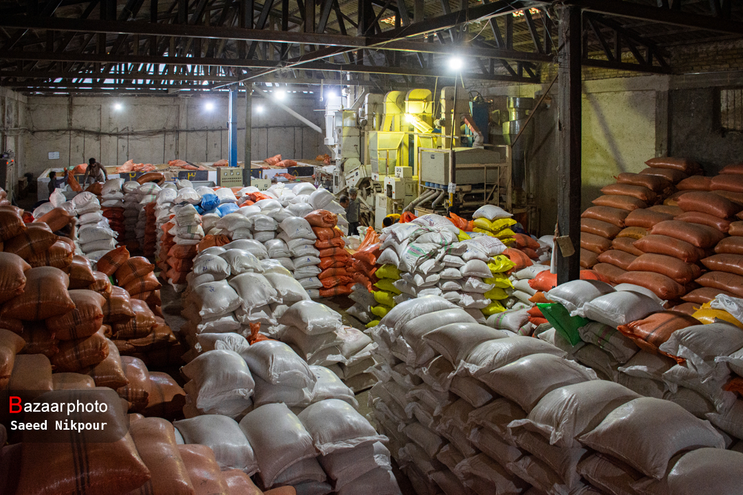 تلخند برنج امسالی به پارسالی| مشتریان چک می دهند و مسئولان وعده