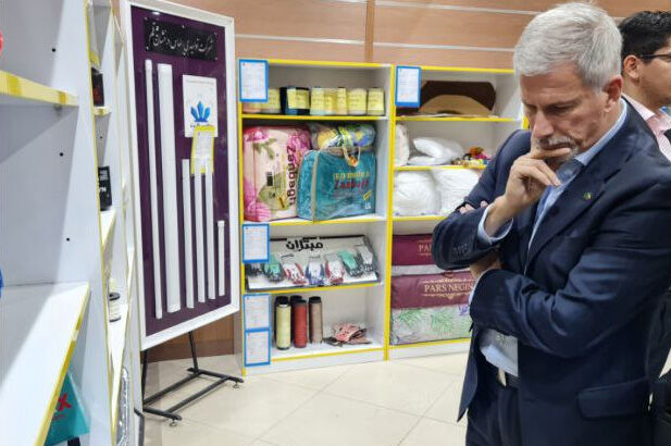 روابط اقتصادی قم با برزیل گسترش مییابد| تحریمها مانع مبادلات تجاری نیست