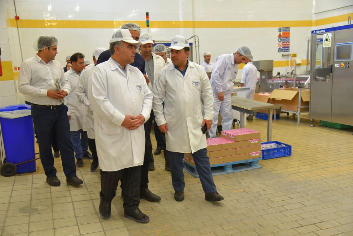 اشتغال مستقیم ۱۰ هزار در شرکت های زیر مجموعه صنایع شیر ایران| افزایش قیمت نداریم