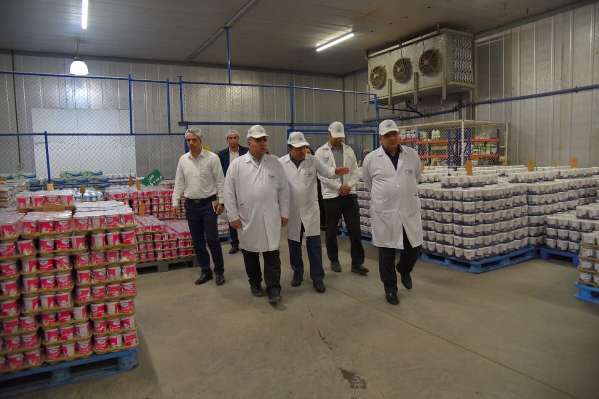  اشتغال مستقیم ۱۰ هزار در شرکت های زیر مجموعه صنایع شیر ایران| افزایش قیمت نداریم