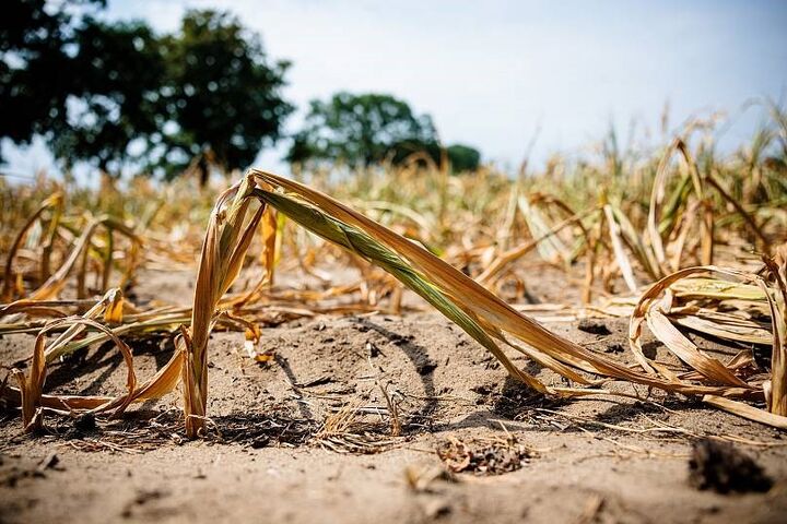 وضعیت عجیب در استان معتدل کوهستانی؛ ۹۸ درصد مساحت اردبیل درگیر خشکسالی است!