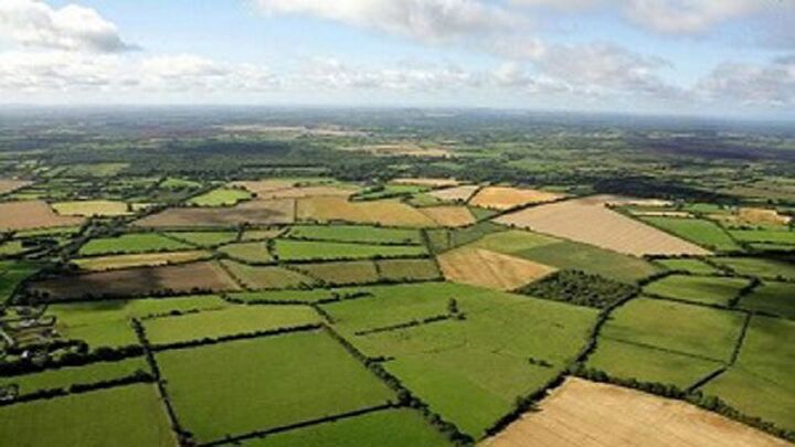 حدنگاری رایگان زمینهای کشاورزی فقط تا پایان امسال است حدنگاری رایگان زمینهای کشاورزی فقط تا پایان امسال است